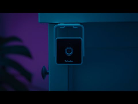 Flipside Petcube Cam - the smartest pet cam on the market, AI technology